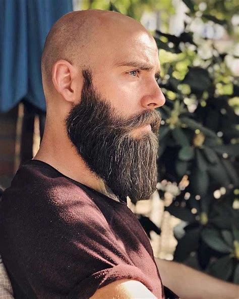 bearded bald guys|More.